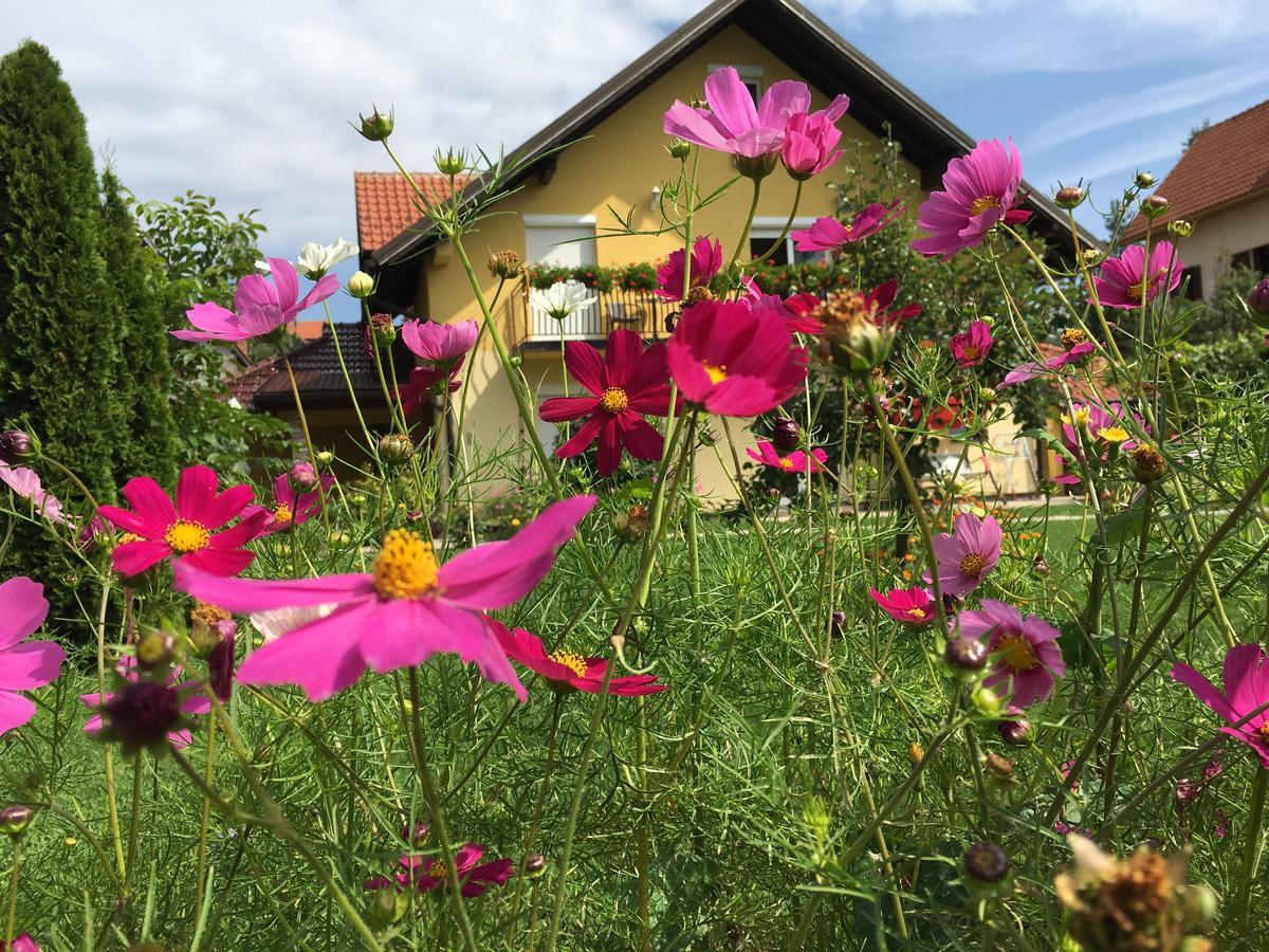 Omiljeni Apartments Zlatibor Dış mekan fotoğraf